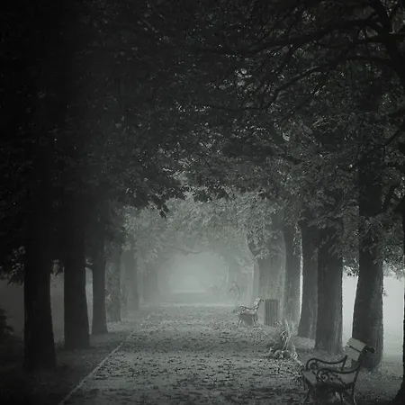 Urban Living 1 アパート *